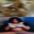 Sluts looking Brisbane
