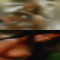 Private hot horny 49849